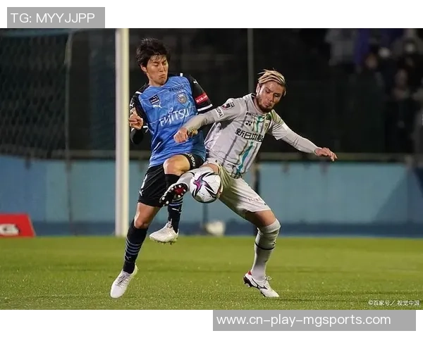 京都不死鸟与福冈黄蜂比赛延期原因分析及影响探讨